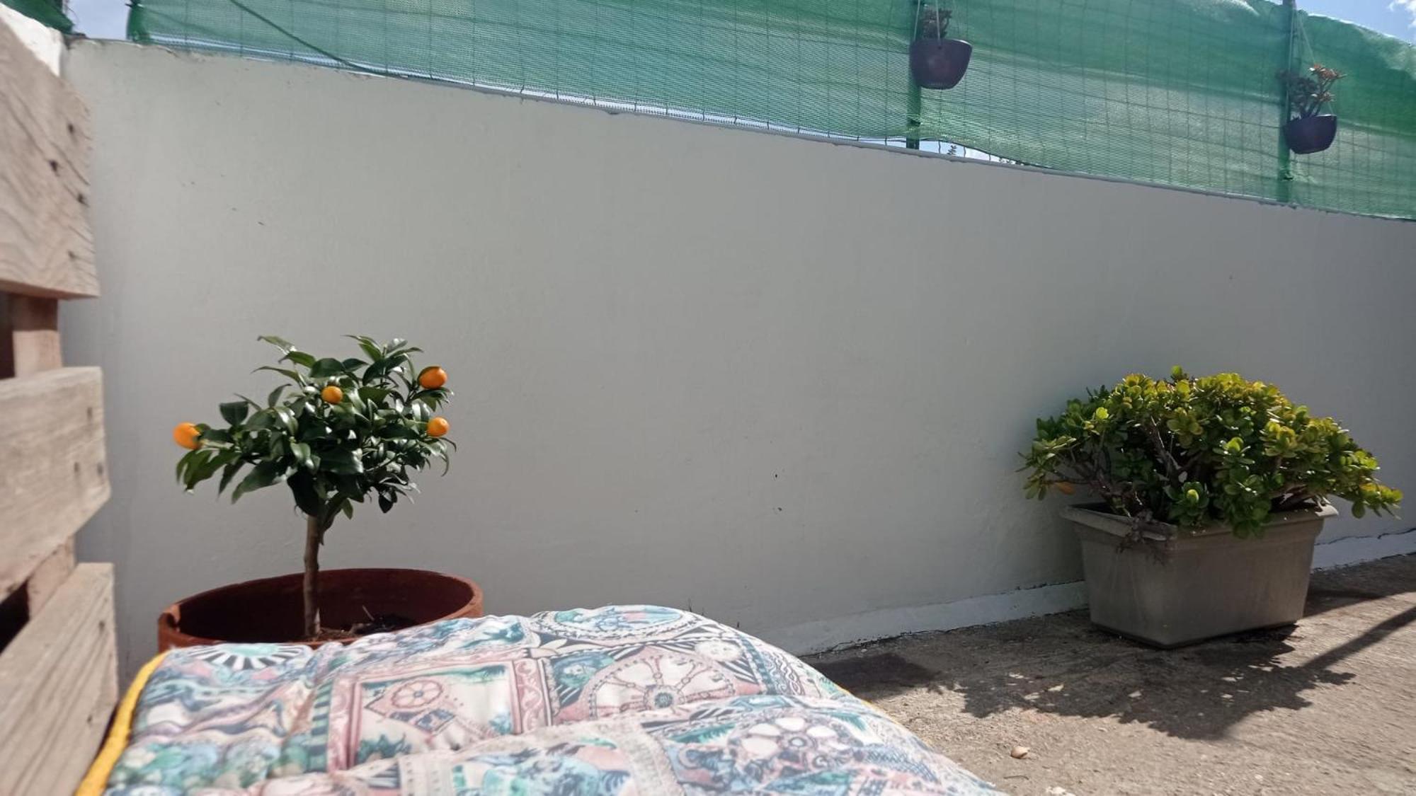 Ferienwohnung Casa Dalila Belvedere  Exterior foto